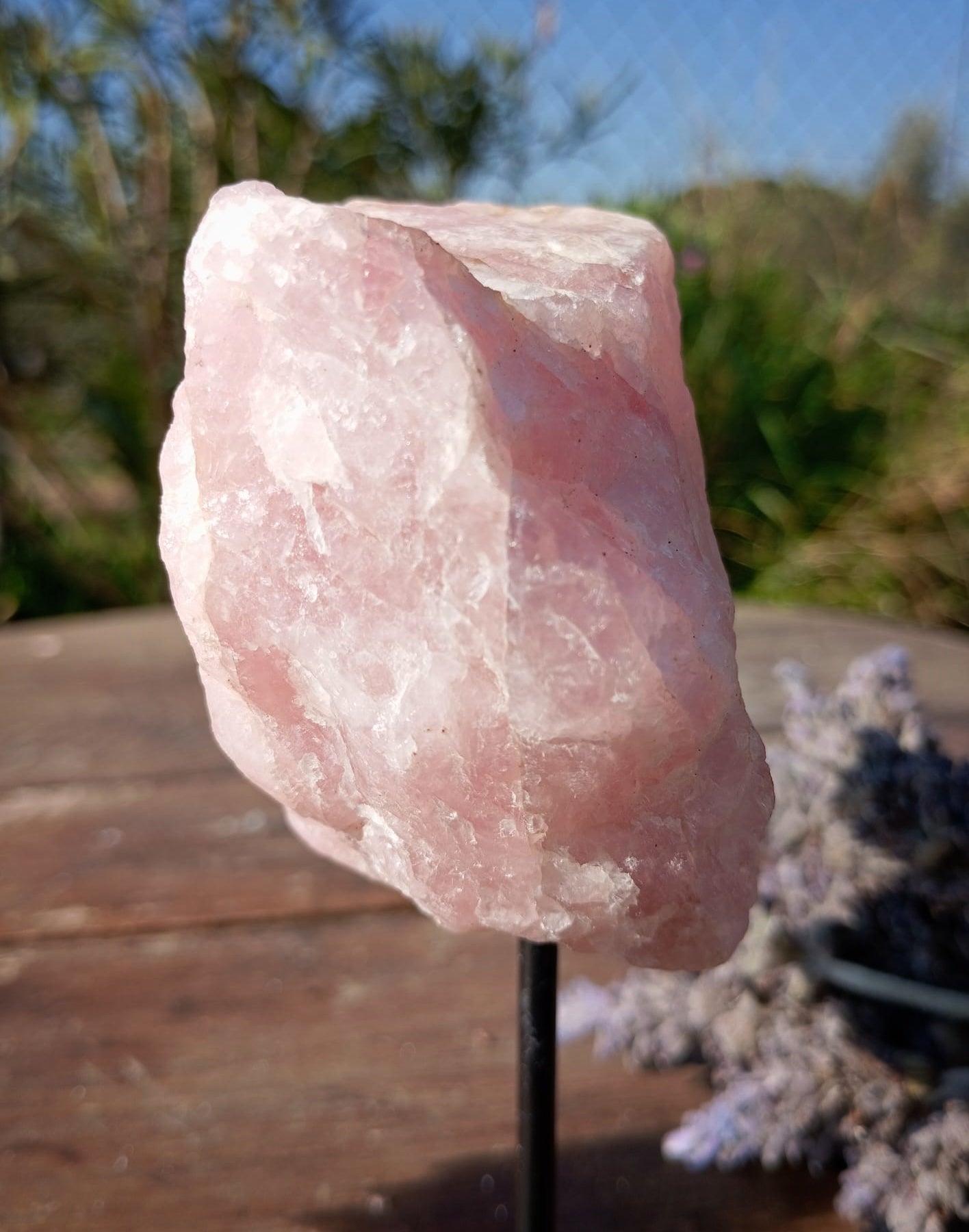 🩷 Peana de Cuarzo Rosa: El Rincón del Amor Propio