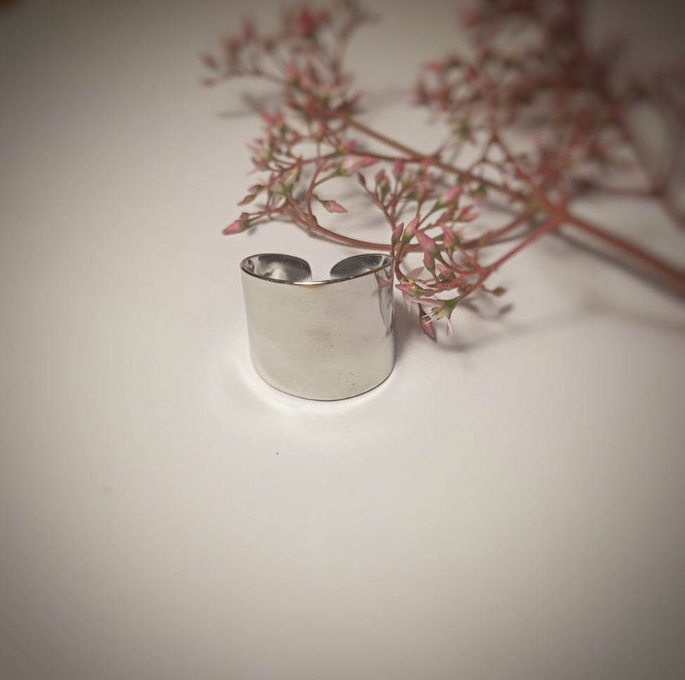 Anillo de acero Zenith