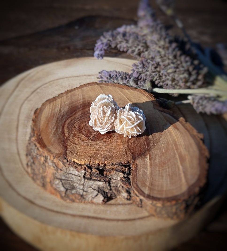 Rosa del Desierto (Mini), crecimiento interior.