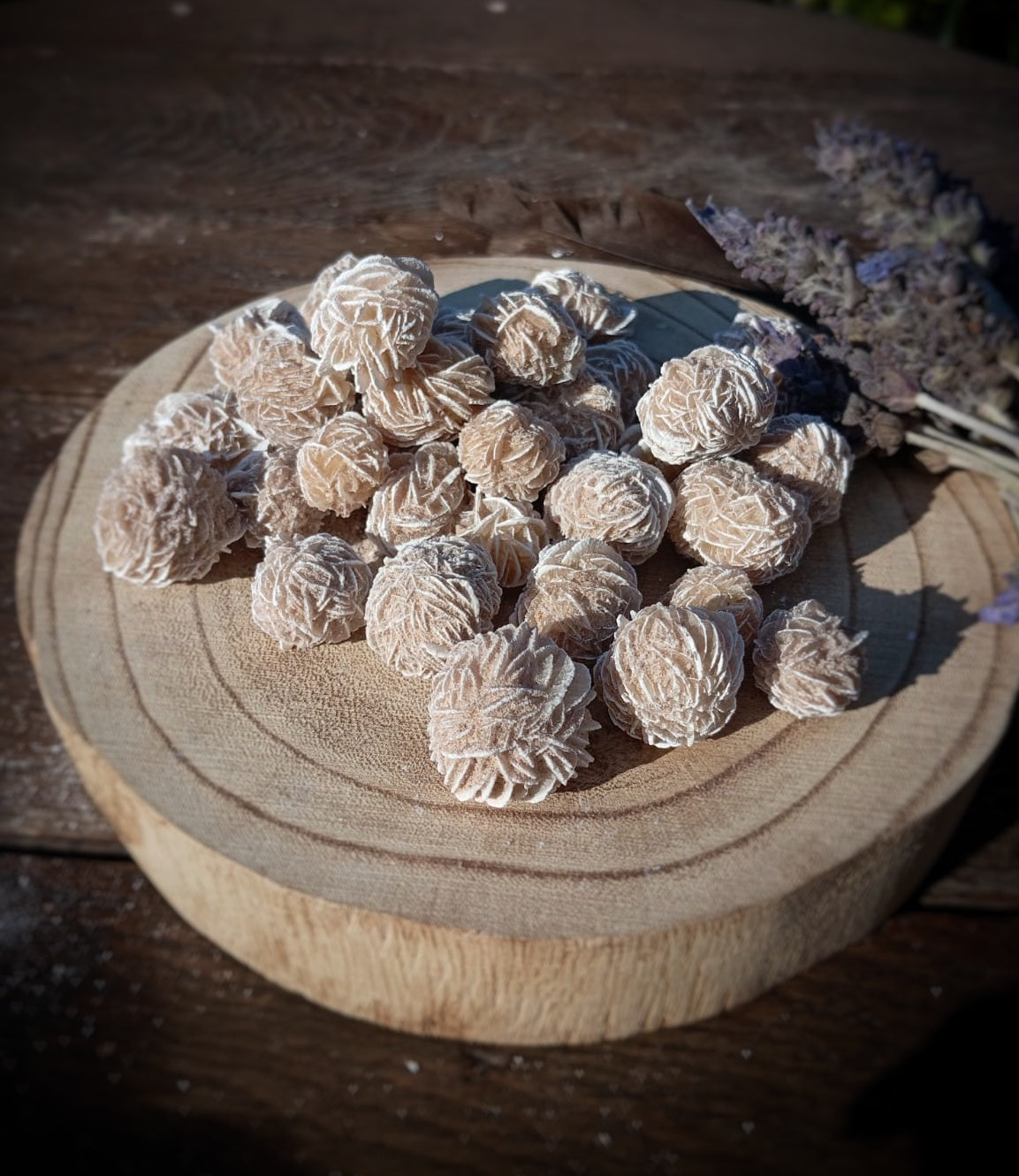 Rosa del Desierto (Mini), crecimiento interior.