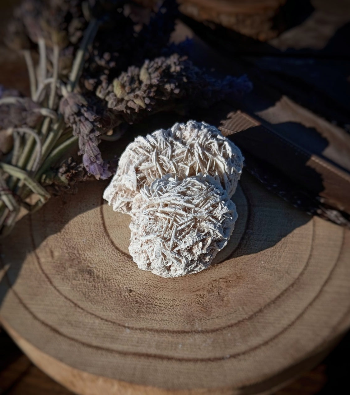 Rosa del Desierto, crecimiento interior.