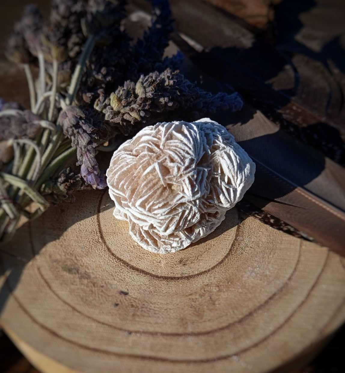 Rosa del Desierto, crecimiento interior.