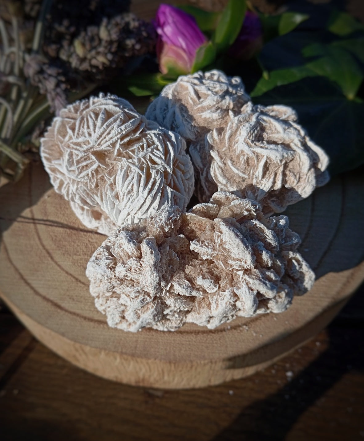 Rosa del Desierto, crecimiento interior.