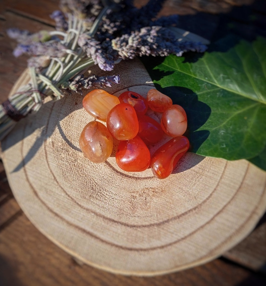 Canto Rodado: Cornalina ,vitalidad y alegría