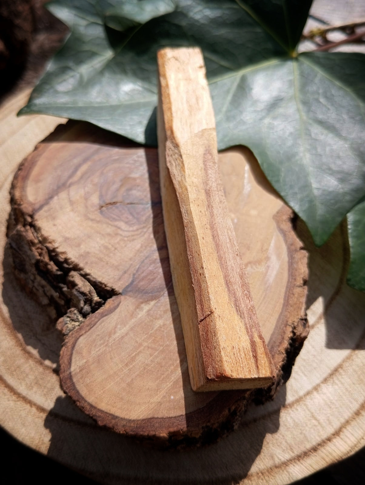 🪵Palo Santo Madera Sagrada- Abrecaminos