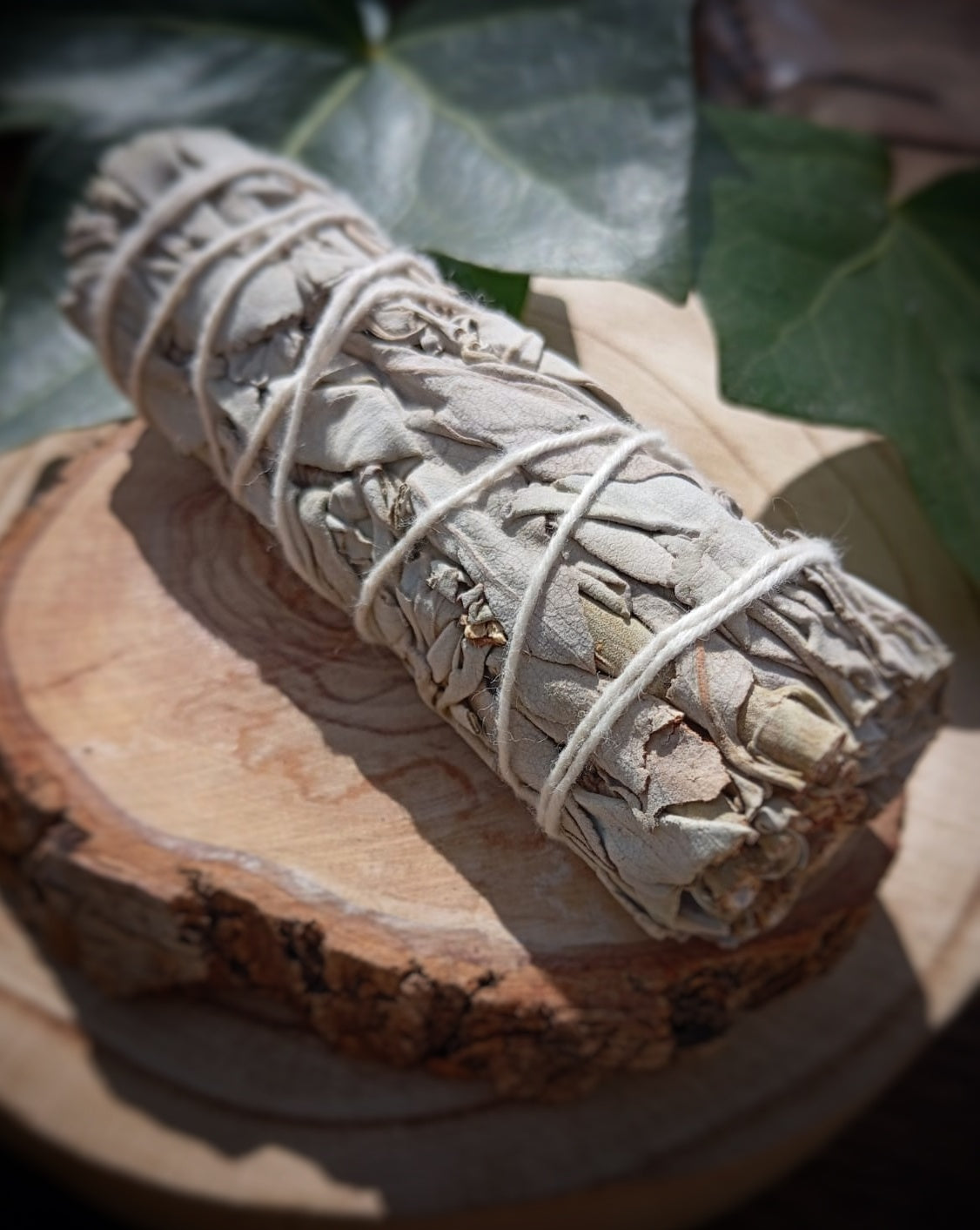 Sahumerio de Salvia Blanca: Purificación y Limpieza