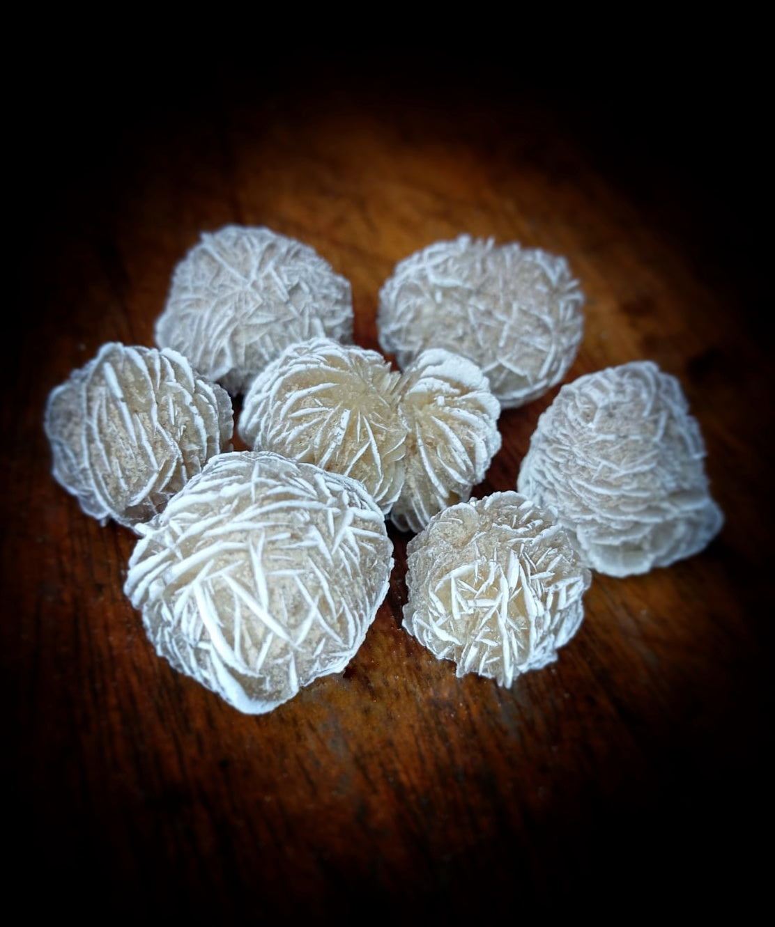 Rosa del Desierto (Mini), crecimiento interior.