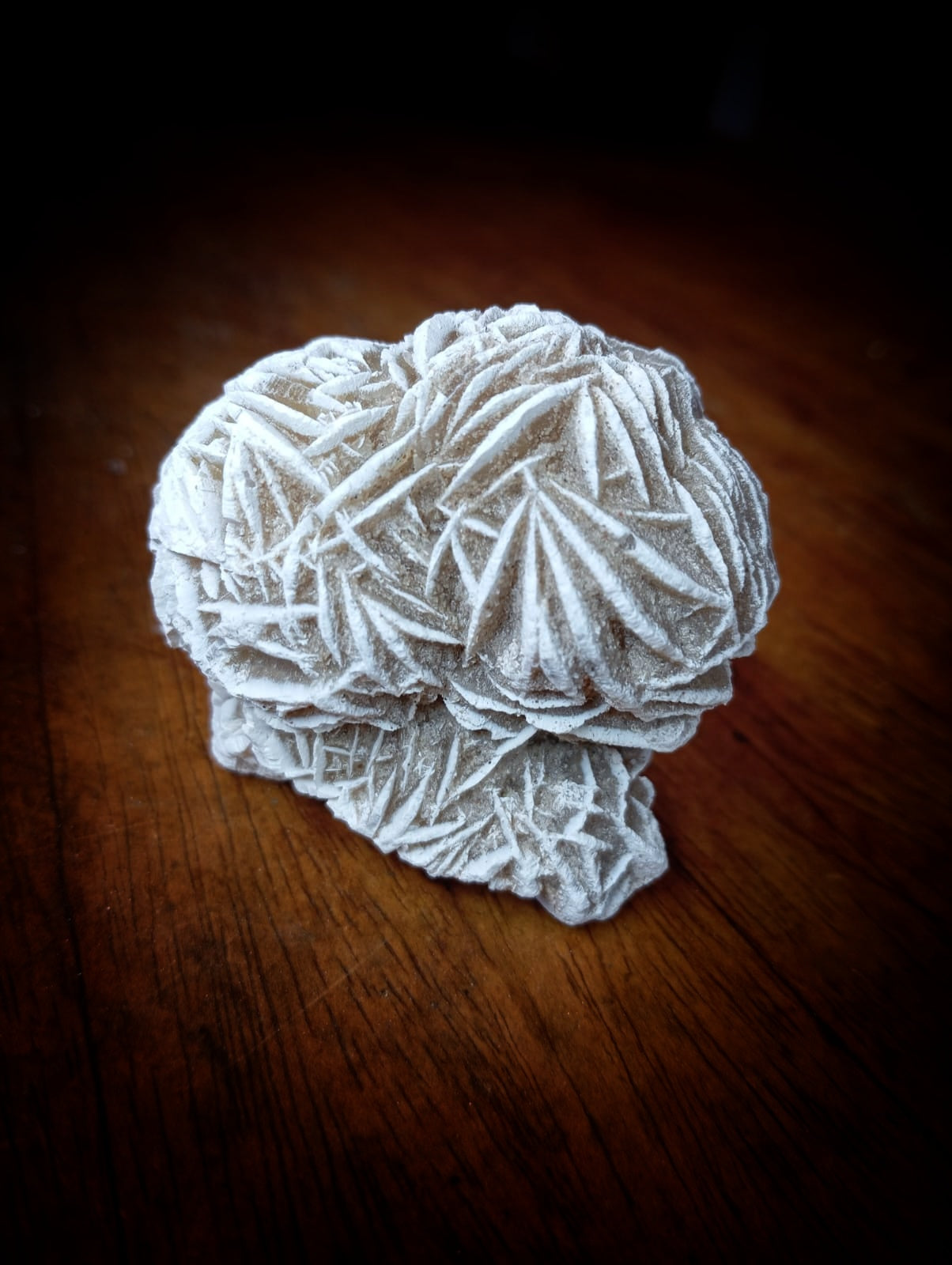 Rosa del Desierto, crecimiento interior.