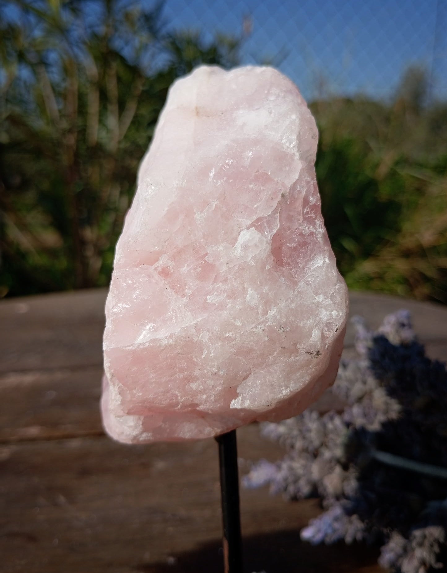 🩷 Peana de Cuarzo Rosa: El Rincón del Amor Propio