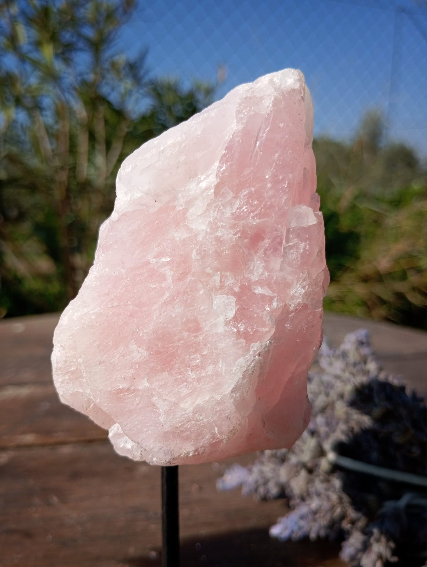 🩷 Peana de Cuarzo Rosa: El Rincón del Amor Propio