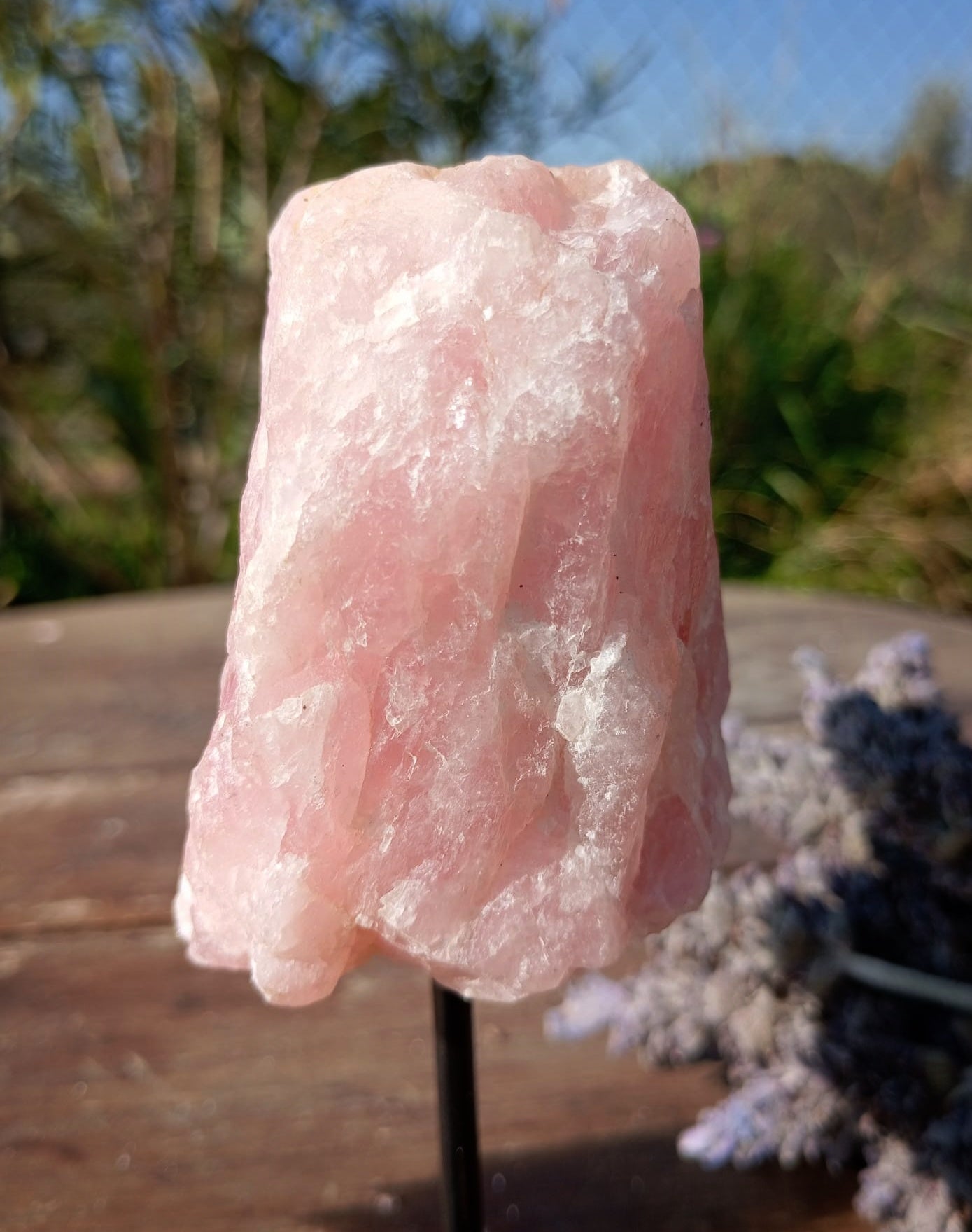 🩷 Peana de Cuarzo Rosa: El Rincón del Amor Propio