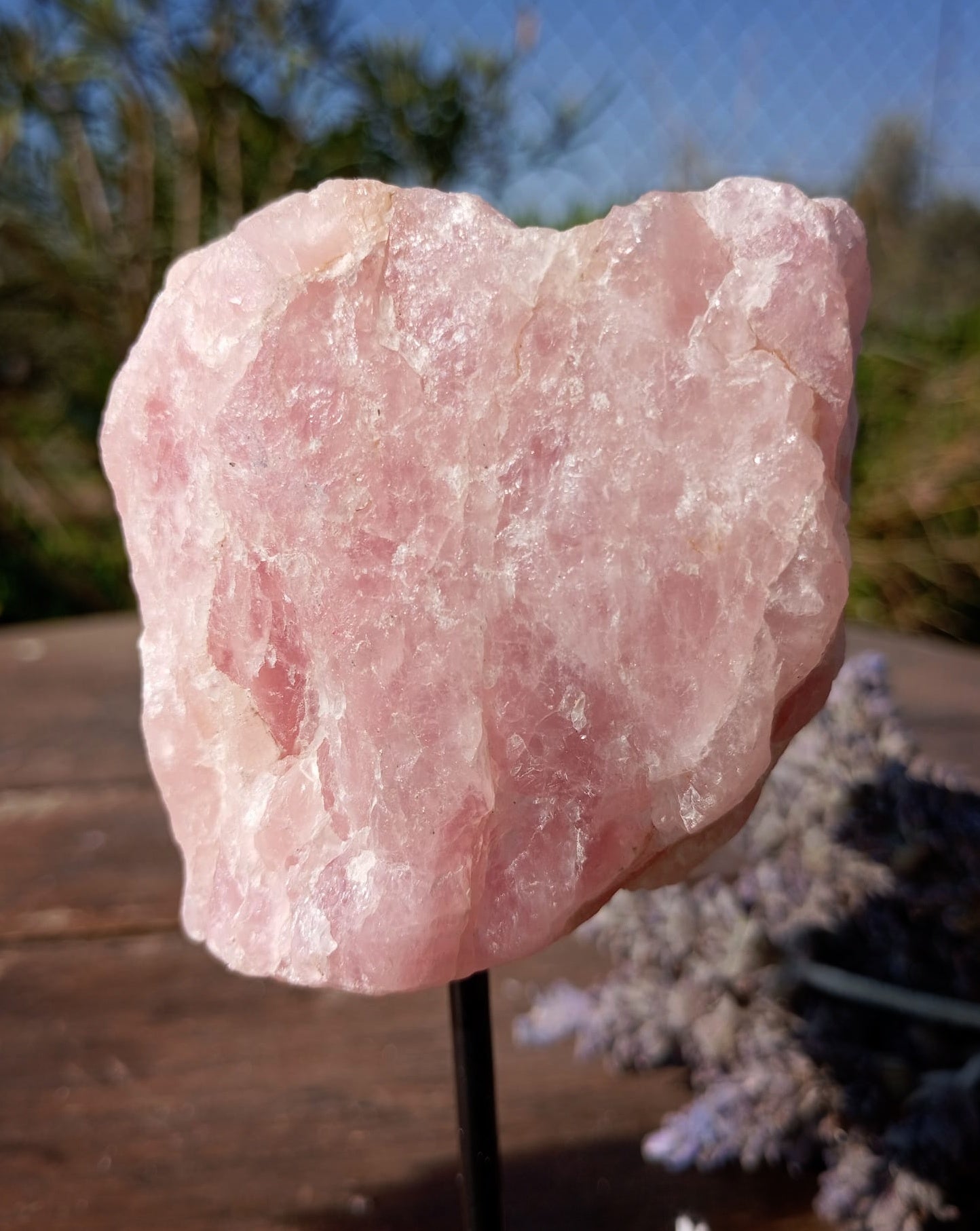 🩷 Peana de Cuarzo Rosa: El Rincón del Amor Propio