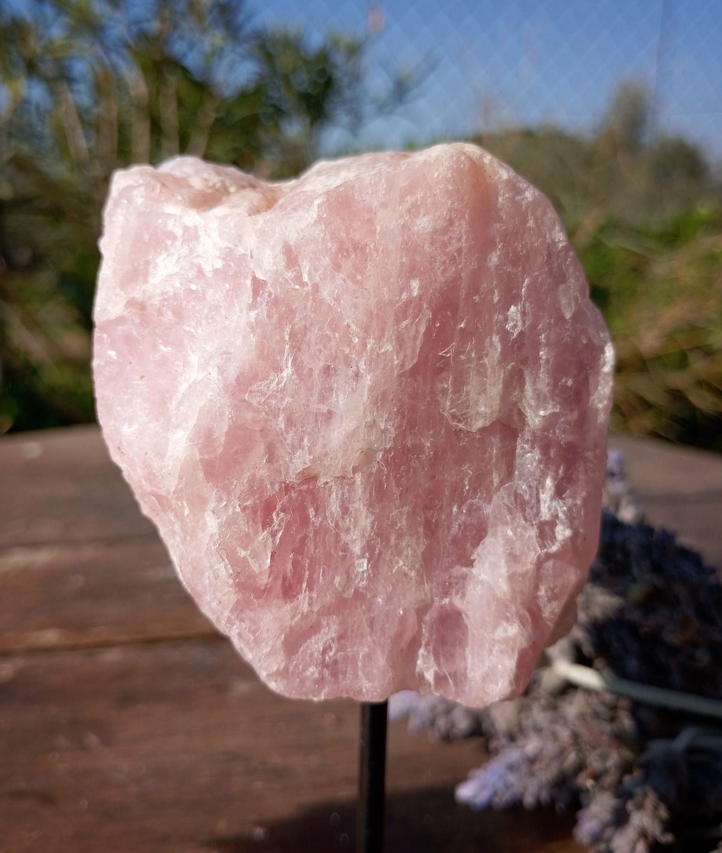 🩷 Peana de Cuarzo Rosa: El Rincón del Amor Propio