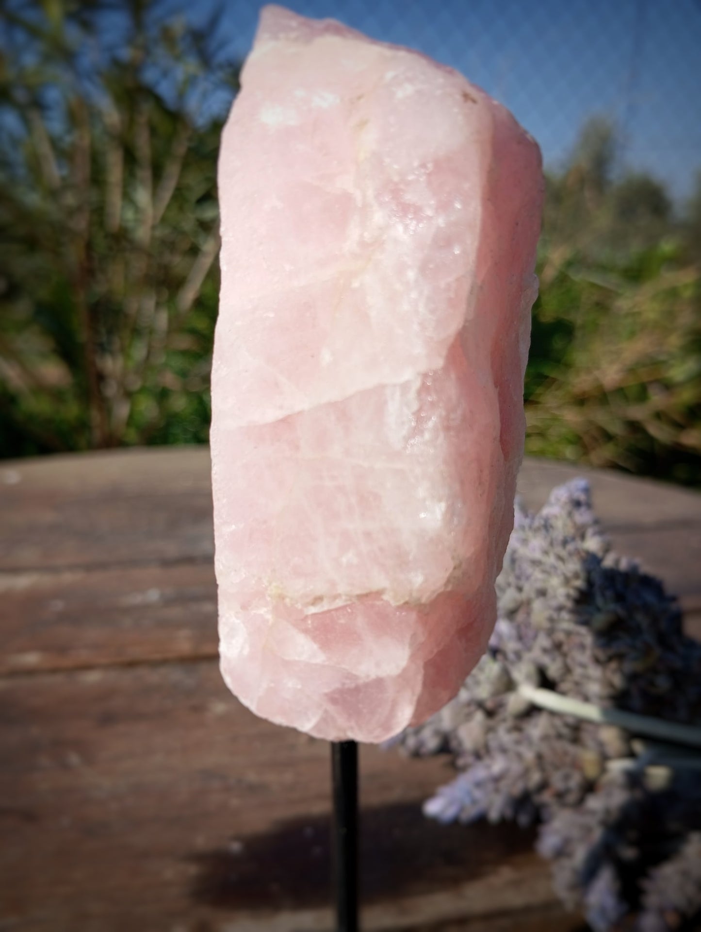 🩷 Peana de Cuarzo Rosa: El Rincón del Amor Propio