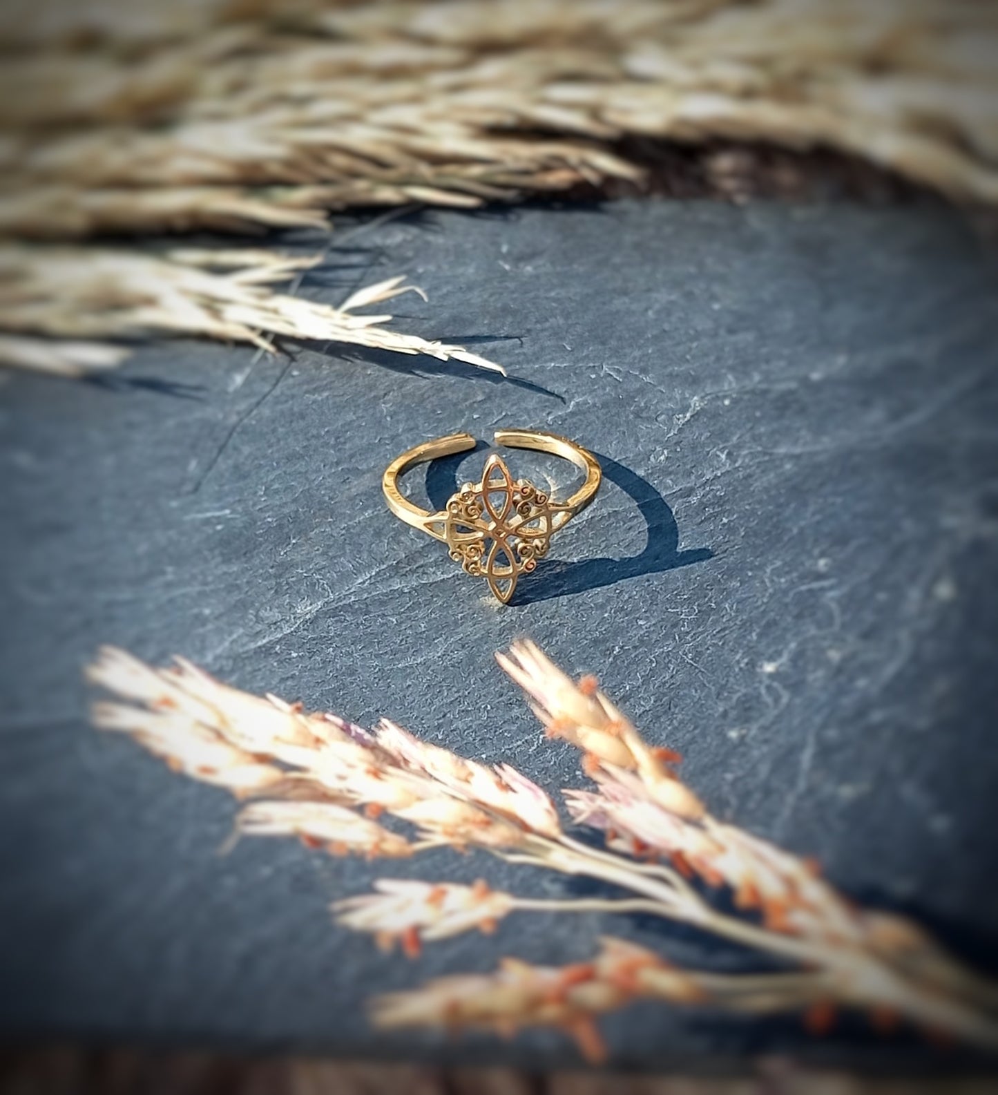 Anillo de acero Nudo de Bruja