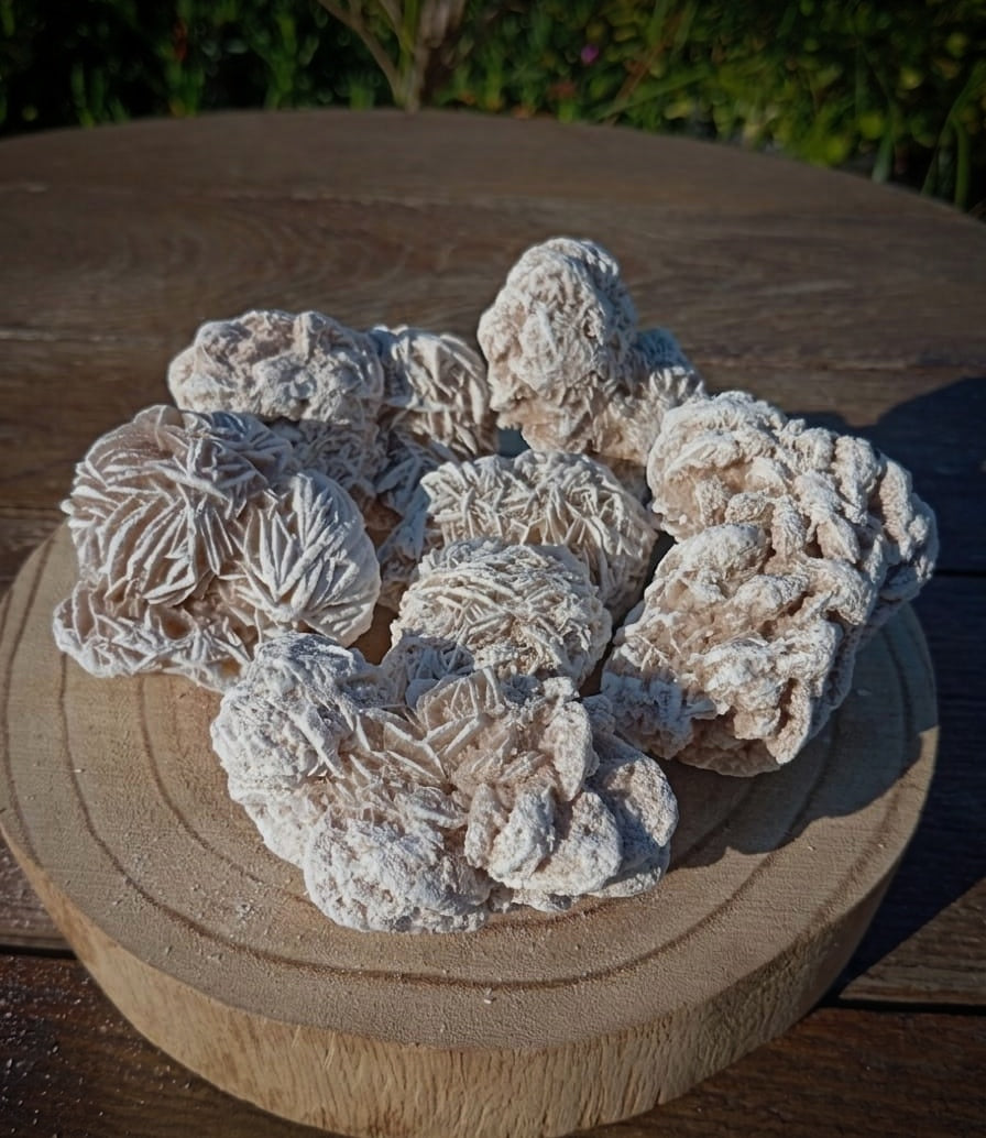 Rosa del Desierto, crecimiento interior.