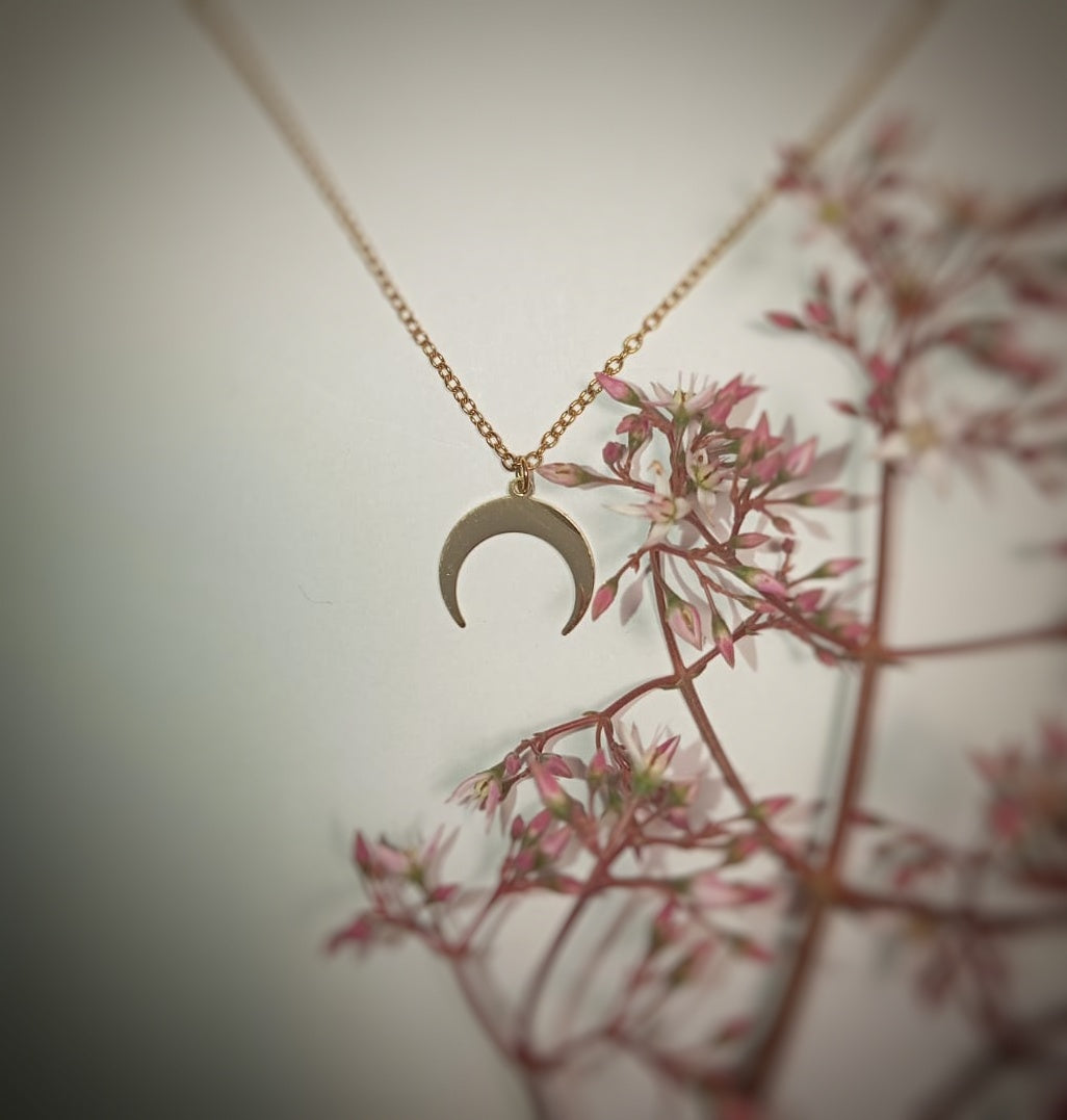 🌙 Colgante Lunita